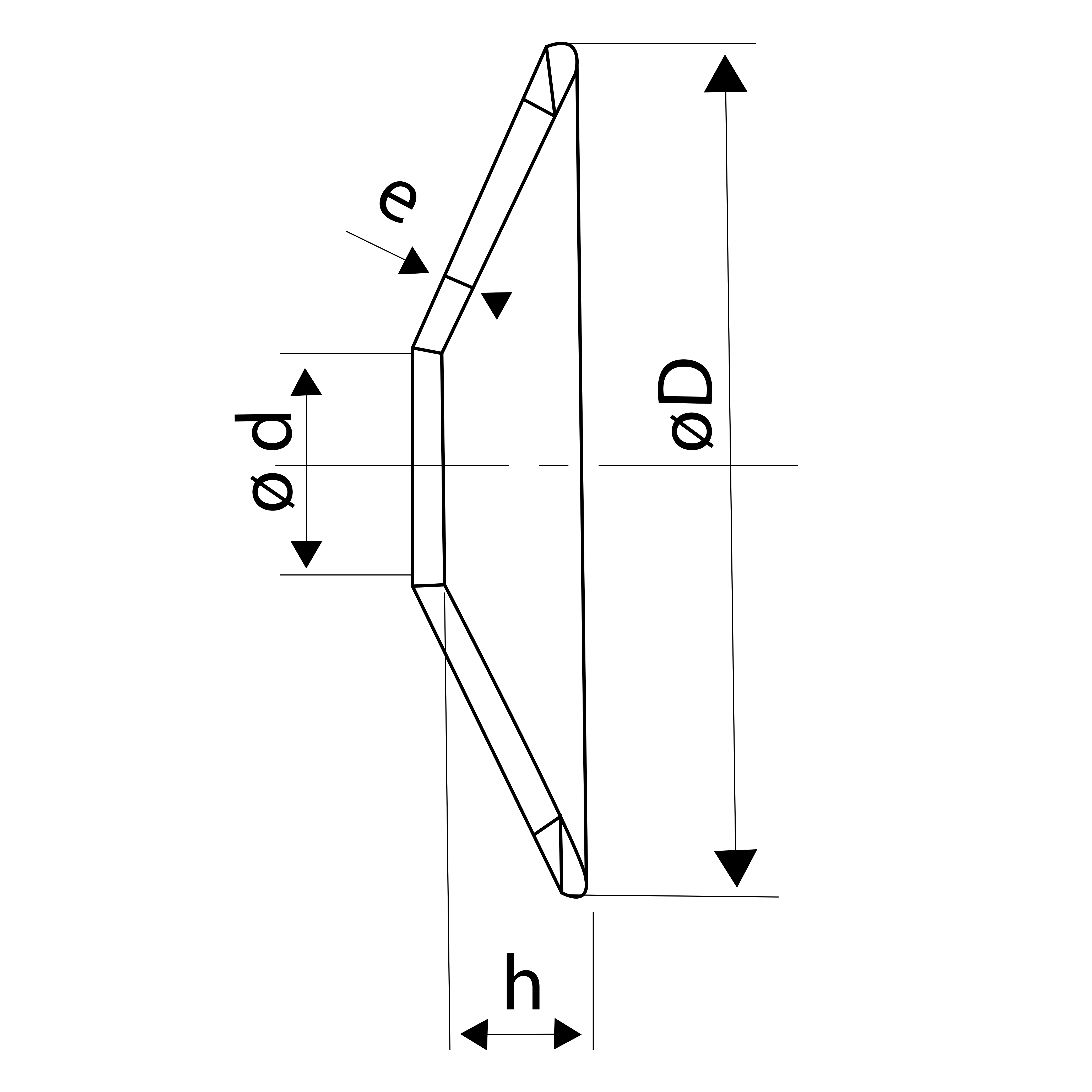 schema borrelly diaphragme rondelles schéma